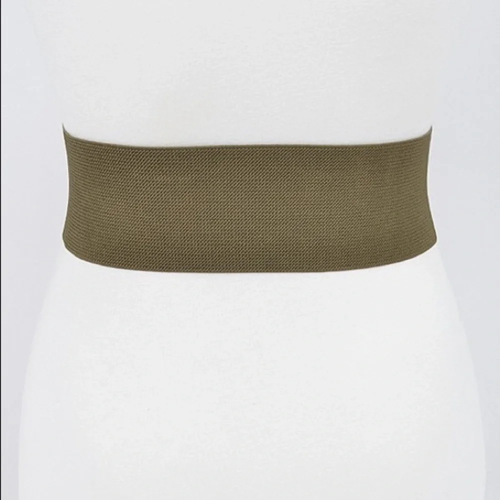 Gold Buckle Elastic Waist Statement Belt